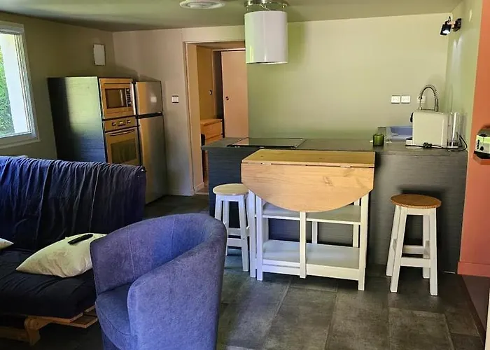 Independant : Tranquillite, Foret Et Piscine * Chancelade